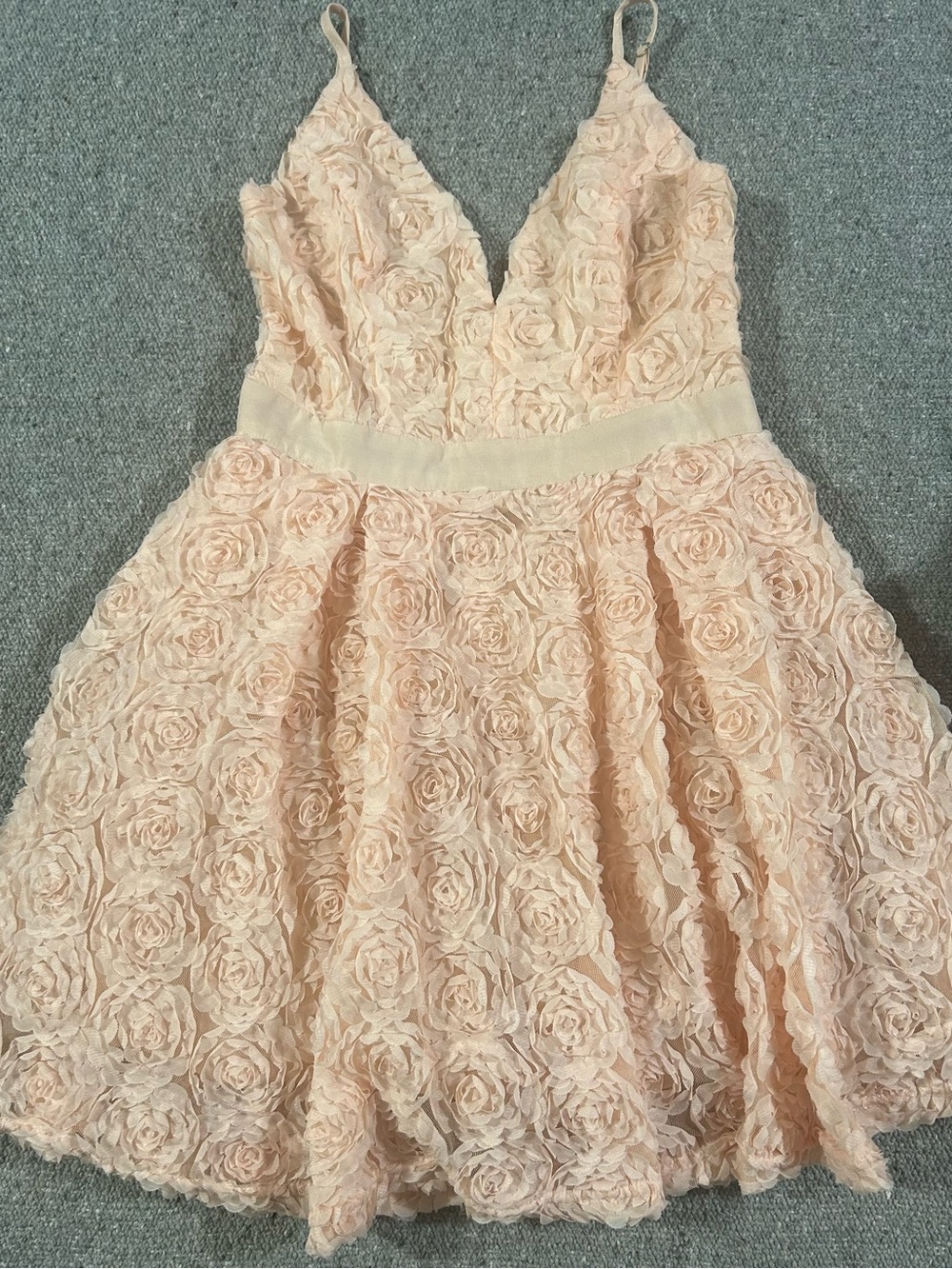 Fashion Nova soft peach Rose Applique Mini Dress